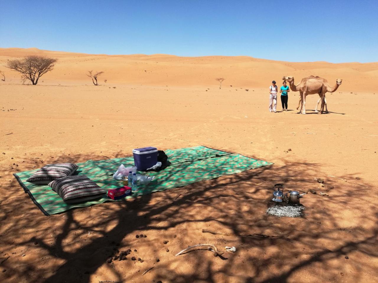 Sand Delight Camp Al Wāşil Eksteriør billede